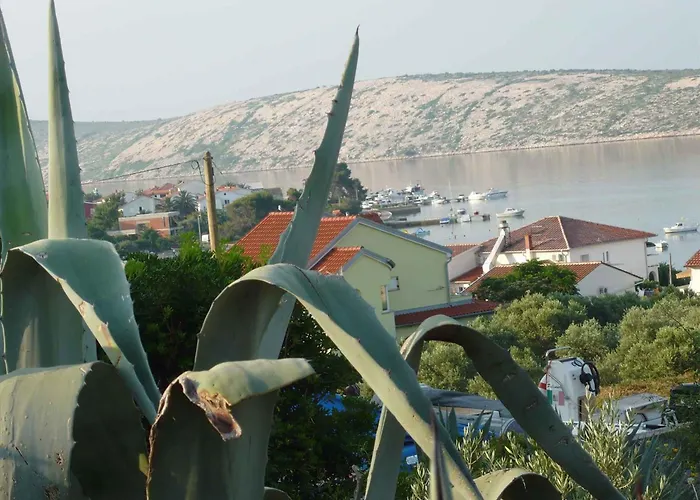 Apartment In Barbat - Insel Rab 33077 Barbat na Rabu